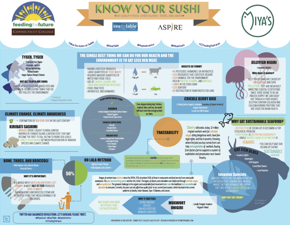 Infographic by Mei Reffsin, Connecticut College '17